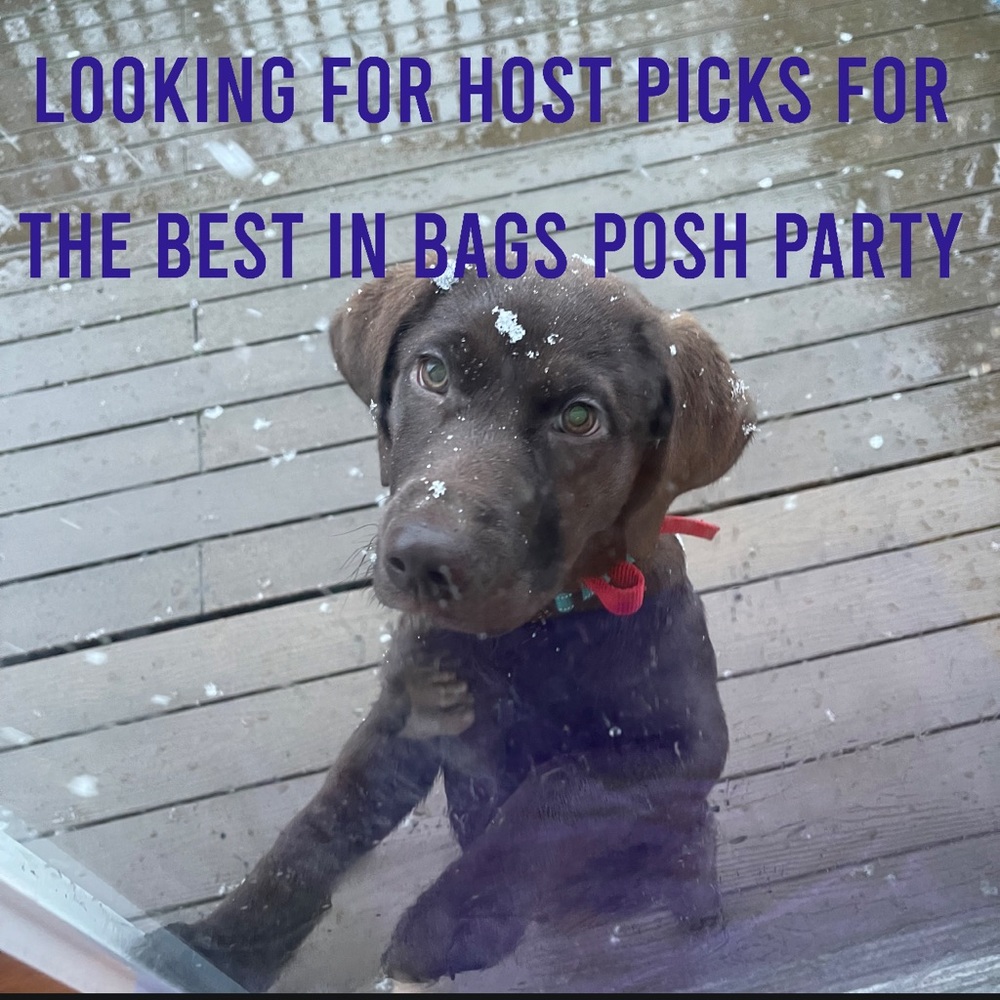 Co-Hosting Best In Bags Posh Party